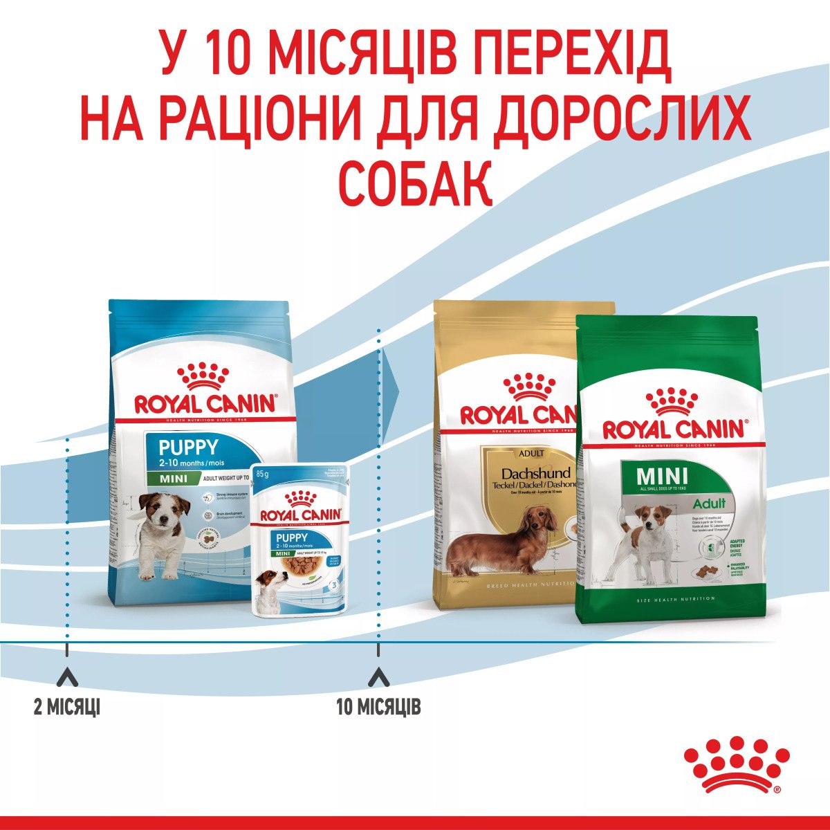 Сухий корм для цуценят мініатюрних порід Royal Canin Mini Puppy, 800 г