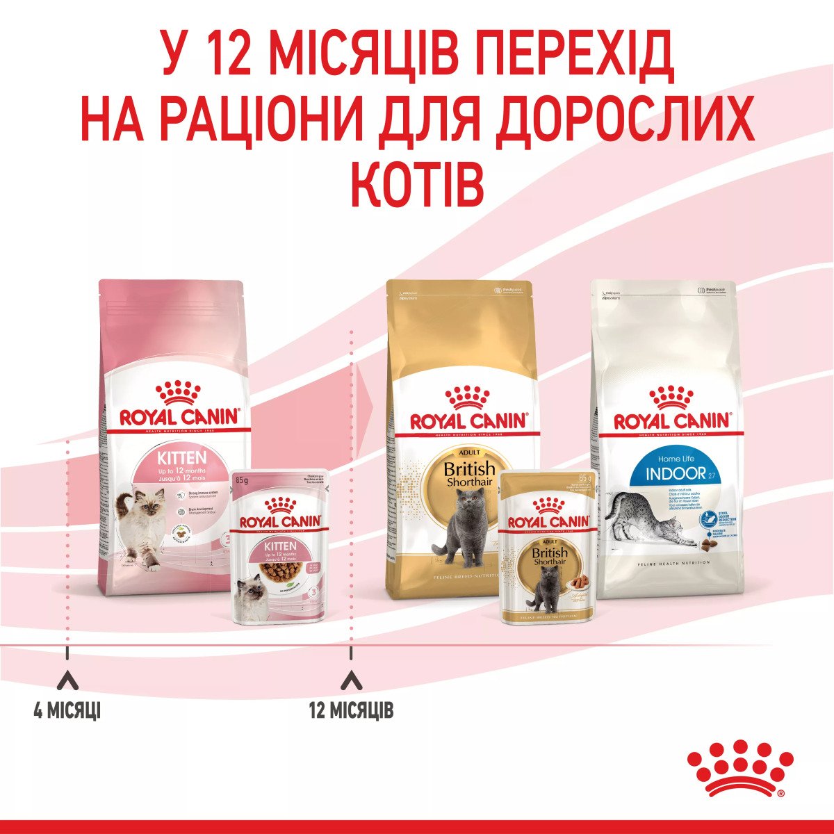 Вологий корм для кошенят Royal Canin Kitten Instinctive In Gravy, промо-набір 4 шт по 85 г (3+1 у подарунок)