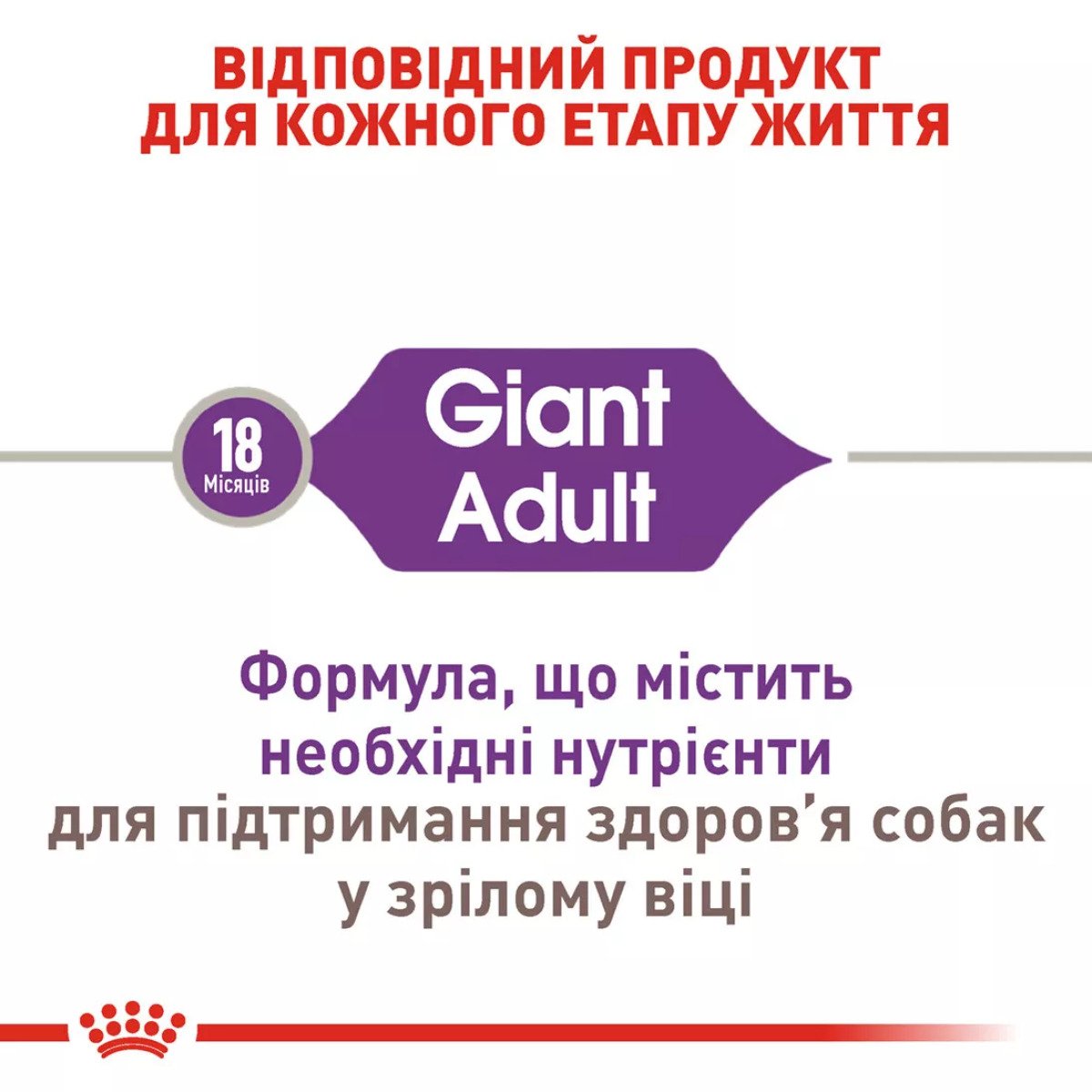 Сухий корм для собак гігантських порід Royal Canin Giant Adult, 15 кг