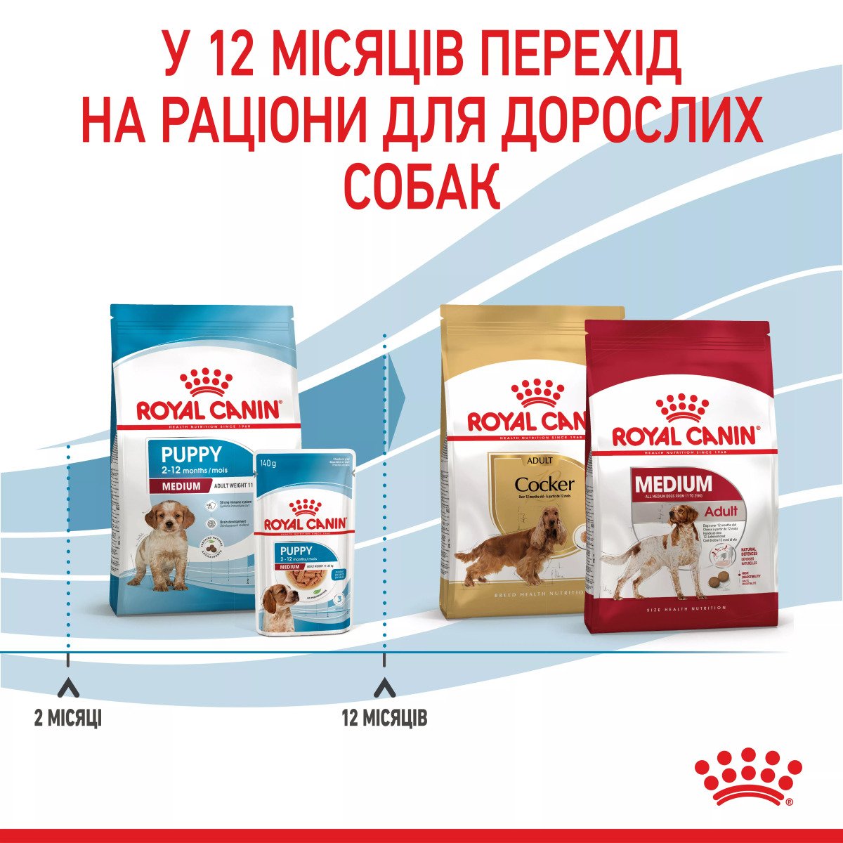 Сухий корм для цуценят середніх порід Royal Canin Medium Puppy, 15 кг