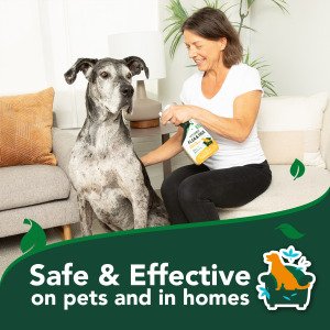 VET`S BEST Flea&Tick Home Spray for DOGS Cottonspice 945 мл