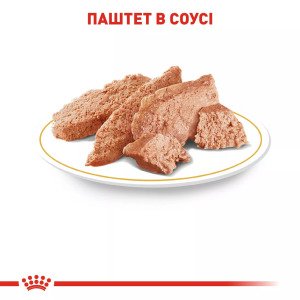 Вологий корм для собак чихуахуа Royal Canin Chihuahua, 85 г