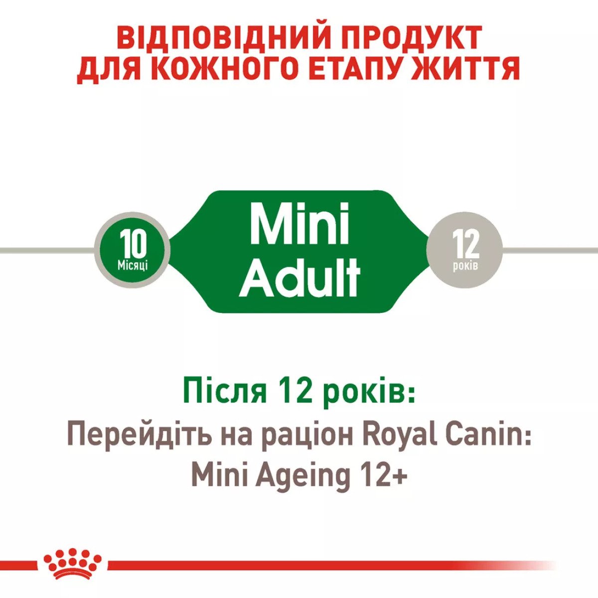 Вологий корм для собак малих порід Royal Canin Mini Adult, 85 г