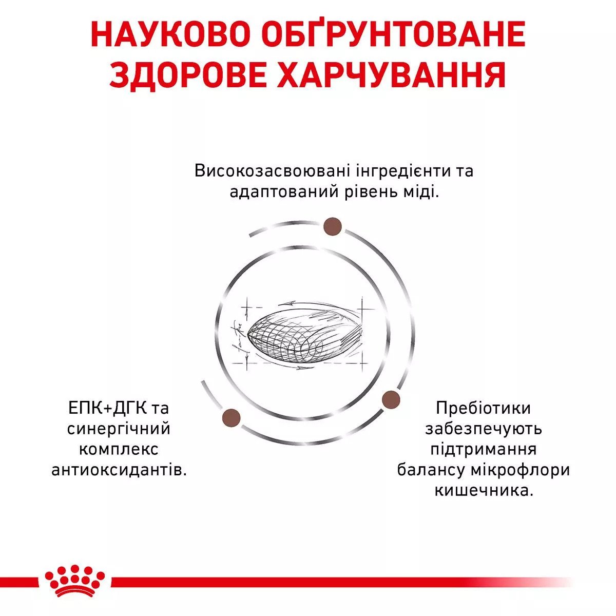Сухий корм для собак Royal Canin Hepatic Dog, 12 кг