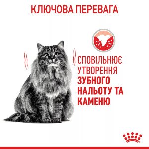 Сухий корм для котів Royal Canin Dental Care, 1.5 кг