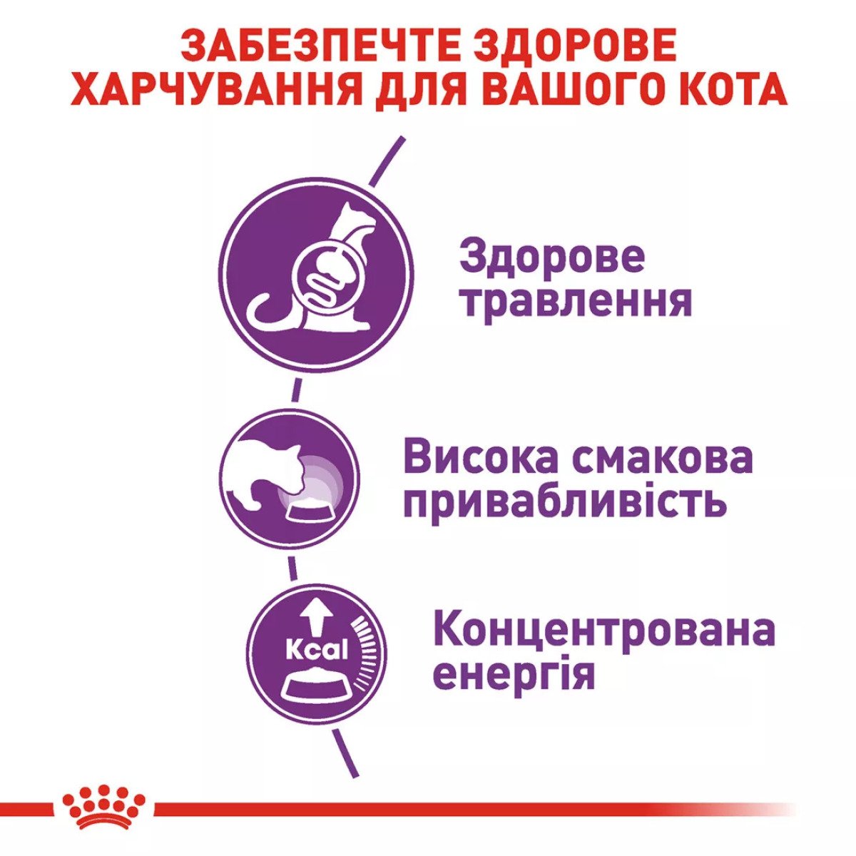Сухий корм для котів Royal Canin Sensible 33, 10 кг