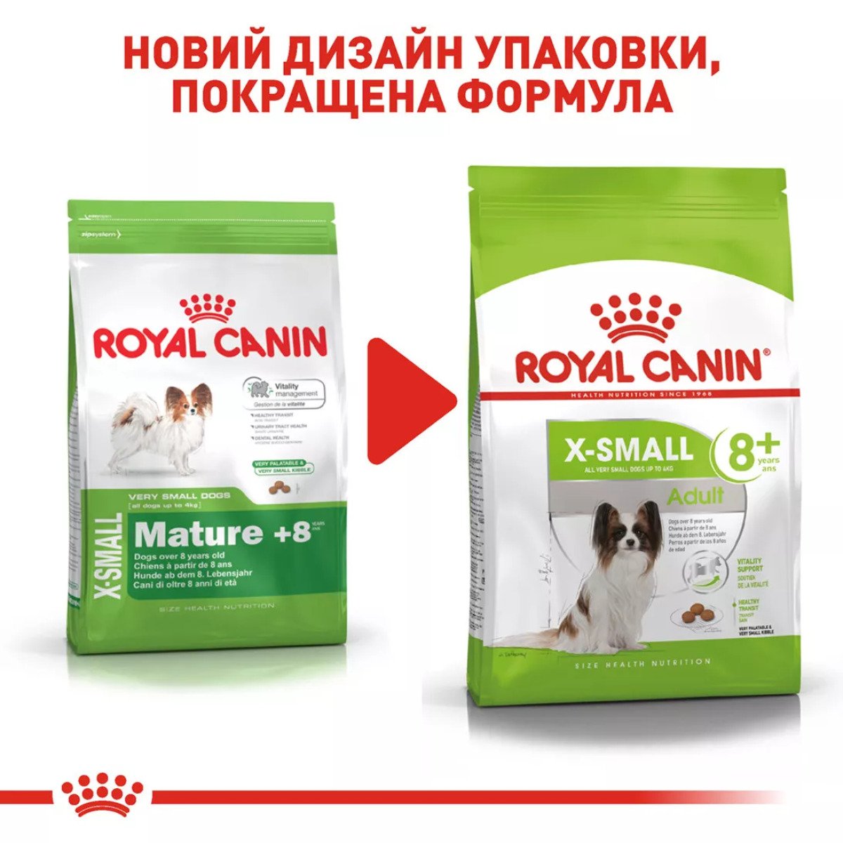 Сухий корм для собак малих порід Royal Canin Xsmall Adult 8+, 3 кг