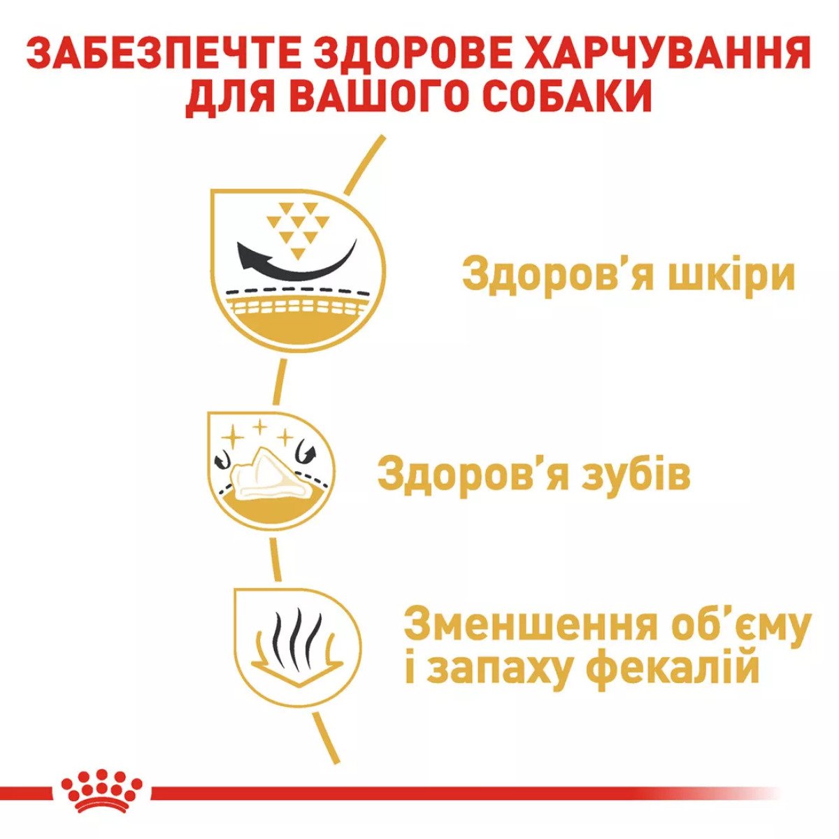 Сухий корм для собак малих порід Royal Canin Shih Tzu Adult, 1.5 кг