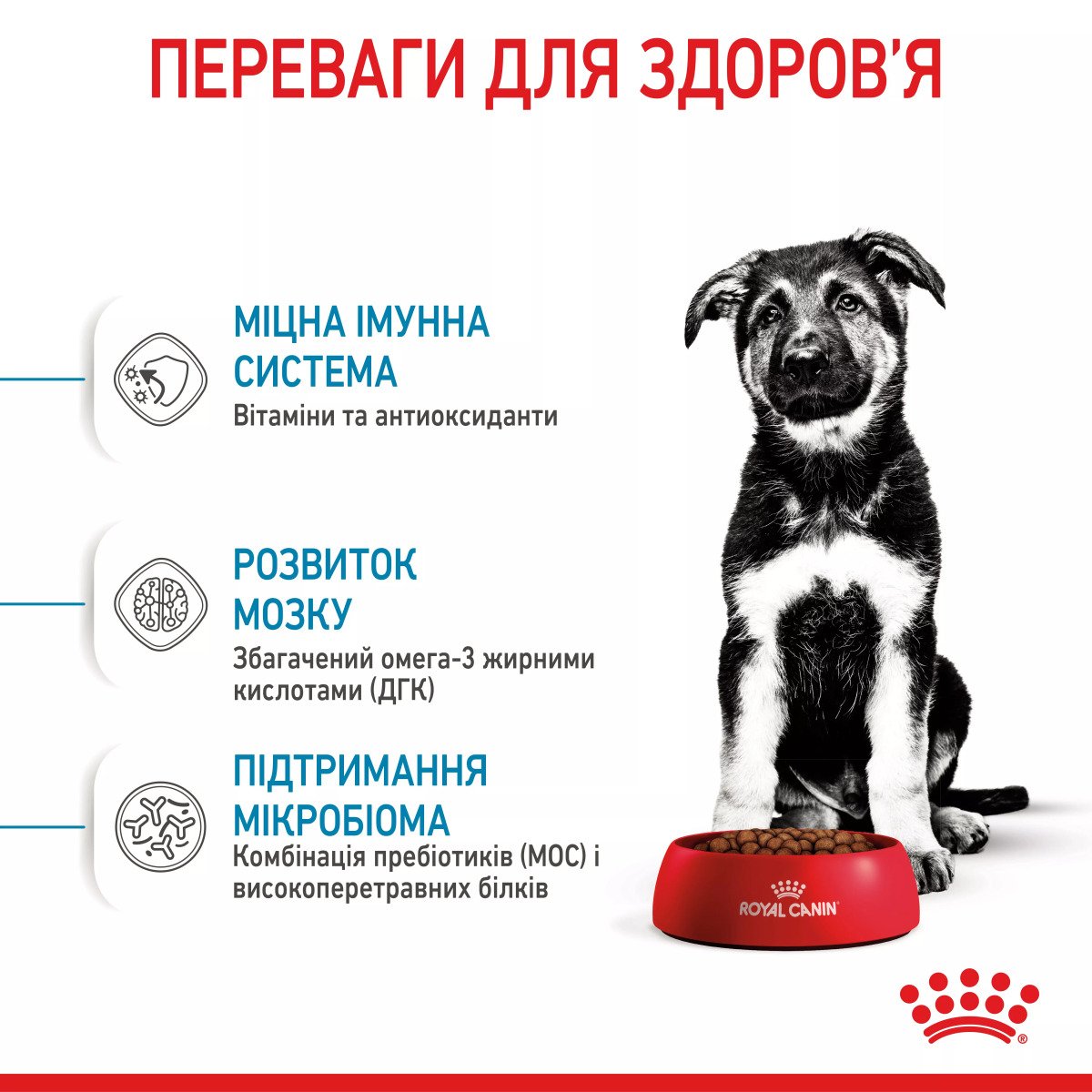 Сухий корм для цуценят великих порід Royal Canin Maxi Puppy, 4 кг