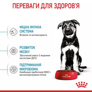 Сухий корм для цуценят великих порід Royal Canin Maxi Puppy, 4 кг