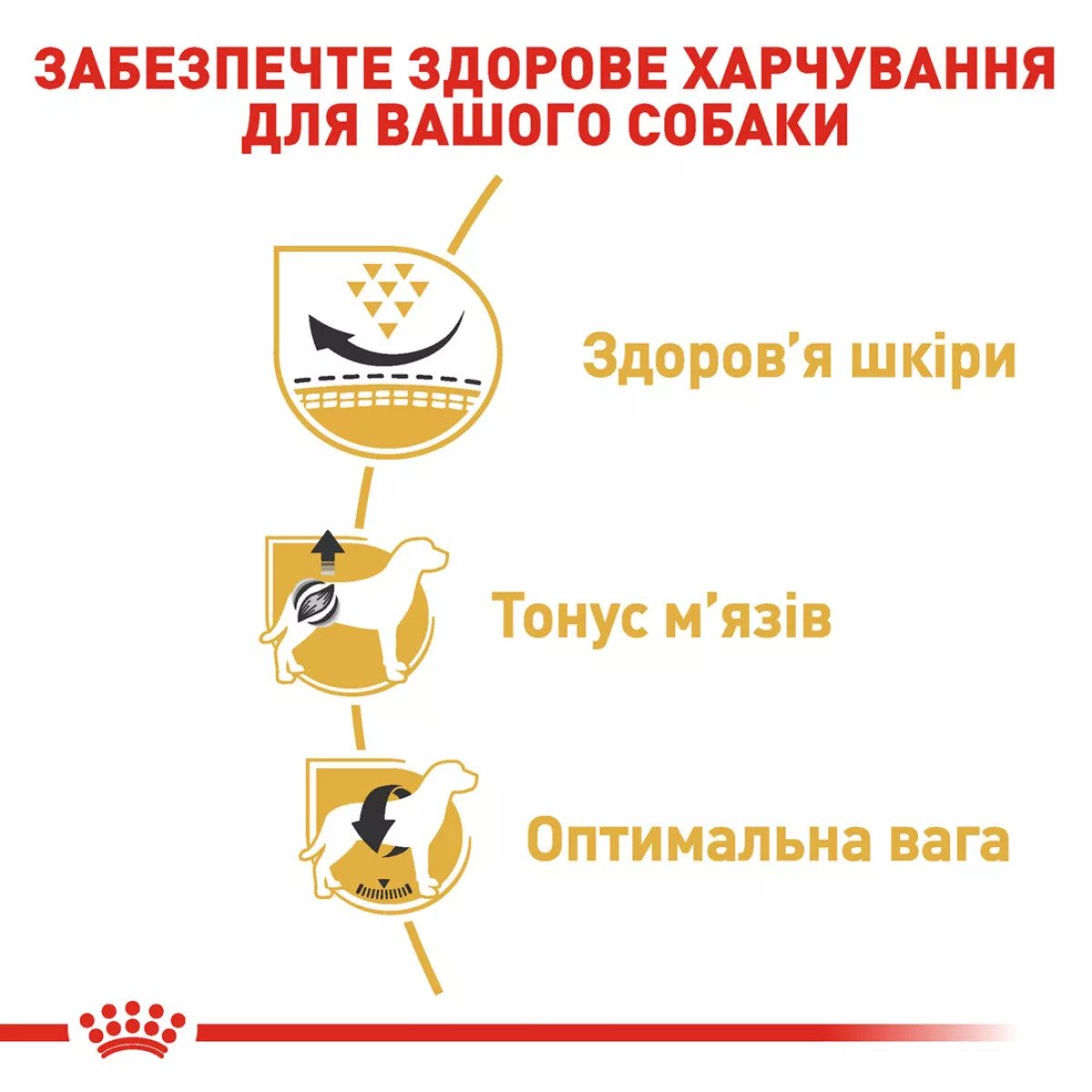 Сухий корм для собак малих порід Royal Canin Pug Adult, 1.5 кг