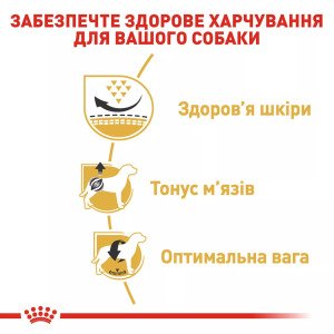 Сухий корм для собак малих порід Royal Canin Pug Adult, 3 кг