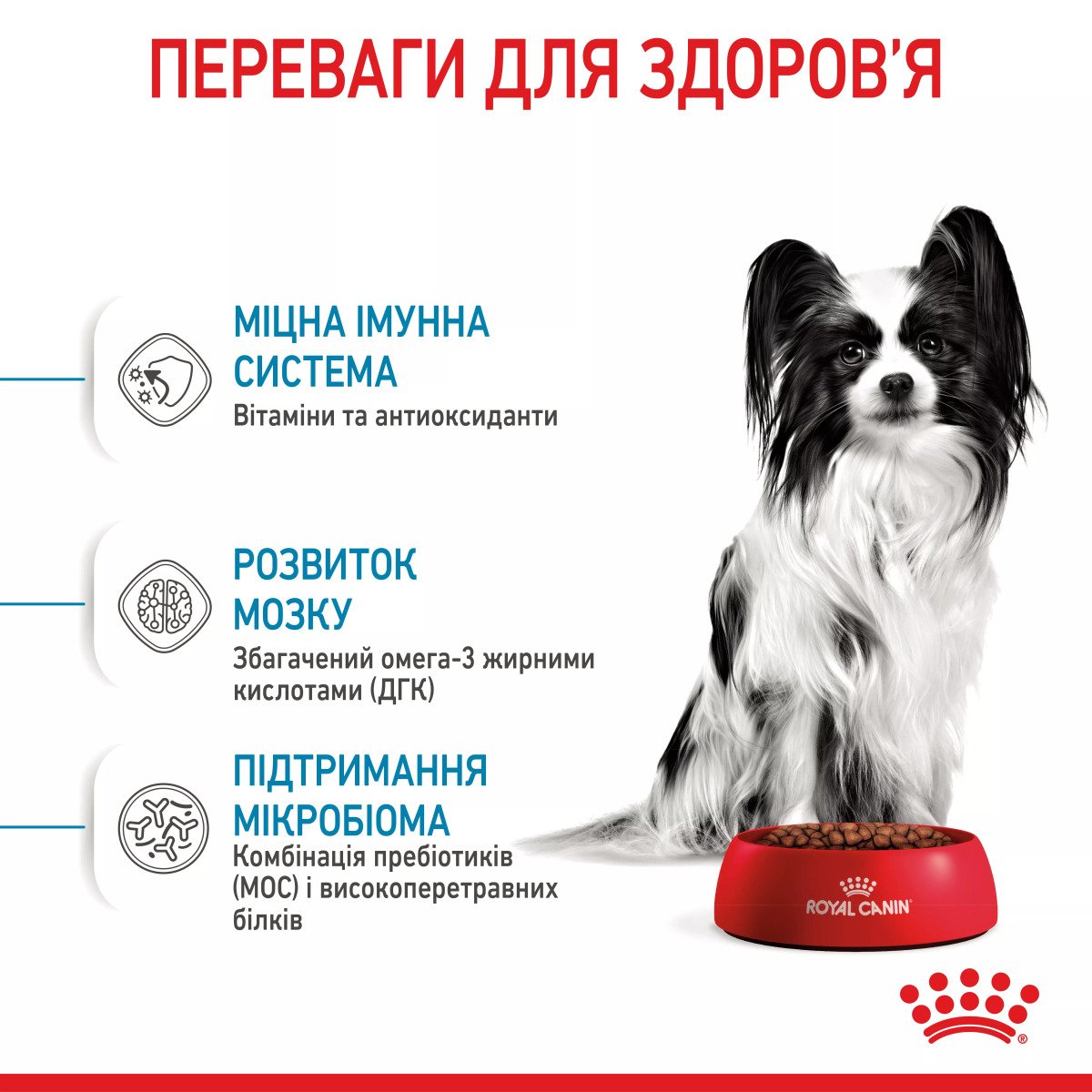 Сухий корм для цуценят мініатюрних порід Royal Canin Xsmall Puppy, 500 г